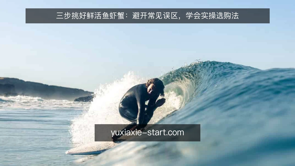 三步挑好鲜活鱼虾蟹:避开常见误区,学会实操选购法