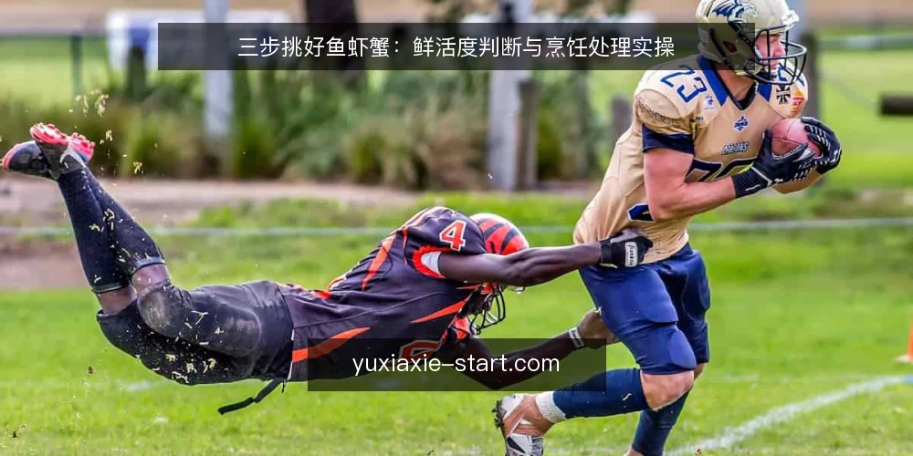 三步挑好鱼虾蟹:鲜活度判断与烹饪处理实操 — 准备工具与挑选环境 配图