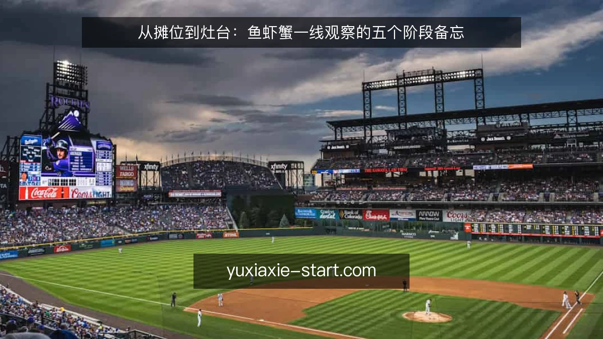 从摊位到灶台：鱼虾蟹一线观察的五个阶段备忘