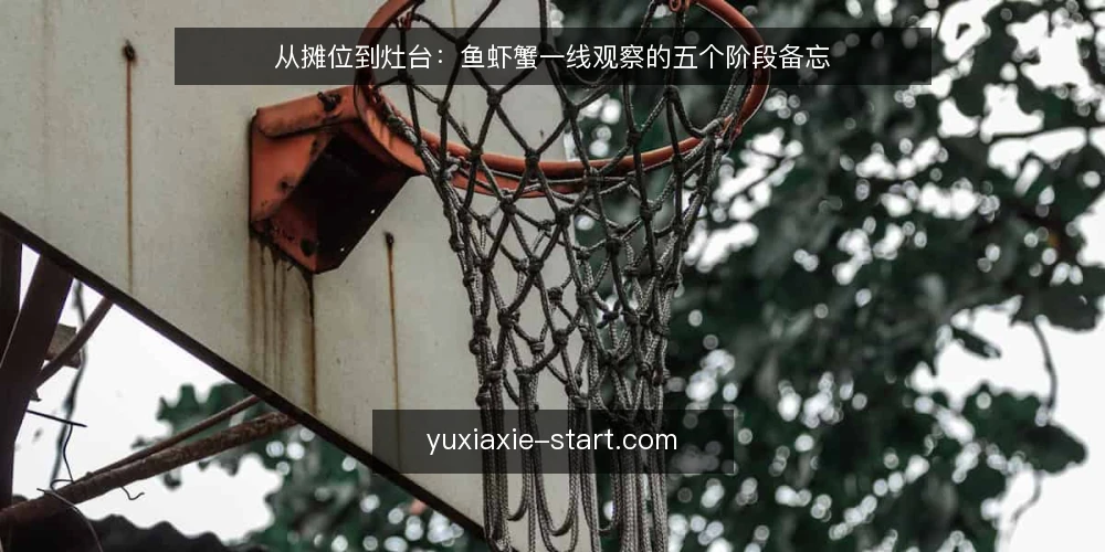 从摊位到灶台：鱼虾蟹一线观察的五个阶段备忘 — 值得留意的现场信号 配图