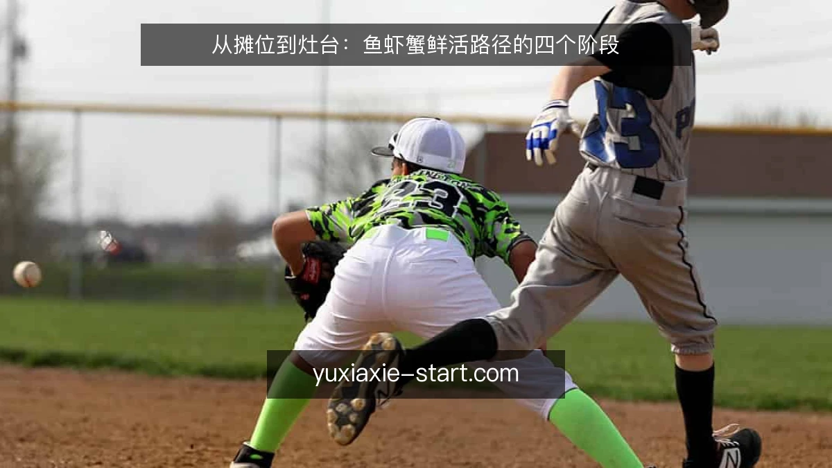 从摊位到灶台:鱼虾蟹鲜活路径的四个阶段